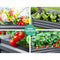 Greenfingers 180x90x30CM Galvanised Raised Garden Bed Steel Instant Planter